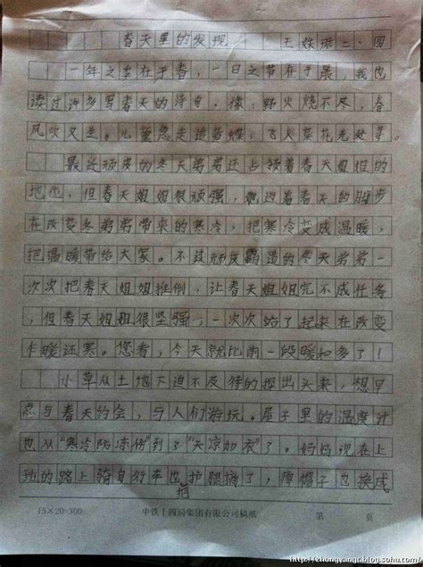 赏花后的心情作文(集锦112段)