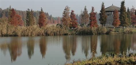 想知道: 上海市 青浦区青西郊野公园 在哪