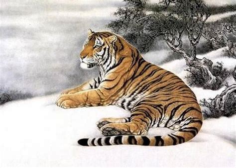 属虎人2023虎年的运势