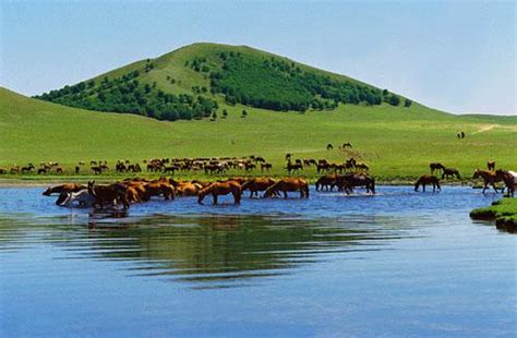 内蒙古的秋景，9月10月来内蒙古赏秋，有哪些地方好看？