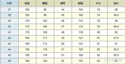 175的衣服是多大号?