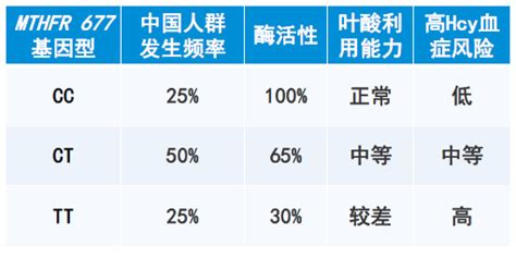 tt型基因吃多少叶酸