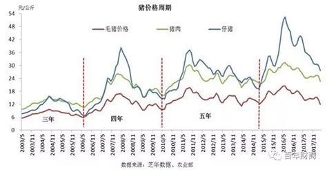 猪的成长周期是多久