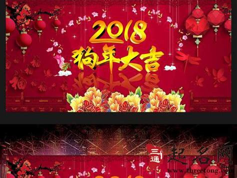 2017年是什么年