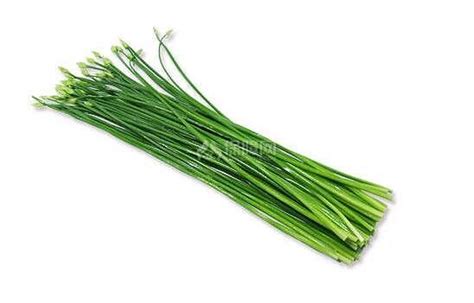 韭菜花的花可以吃嗎?