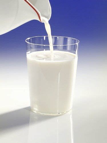 5岁的孩子喝奶粉好还是牛奶好