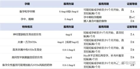 男士需要吃叶酸备孕吗
