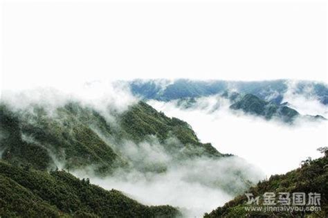 广东4a旅游景点大全，南岭国家森林公园是广东省最大的自然保护区，是珍稀动植物宝库