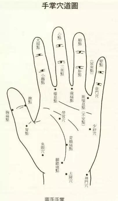 小儿推拿掌小横纹的准确位置