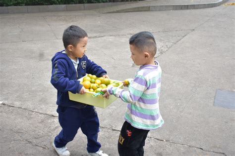 放飞孩子的想象力