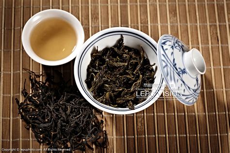 单枞茶属于什么茶？