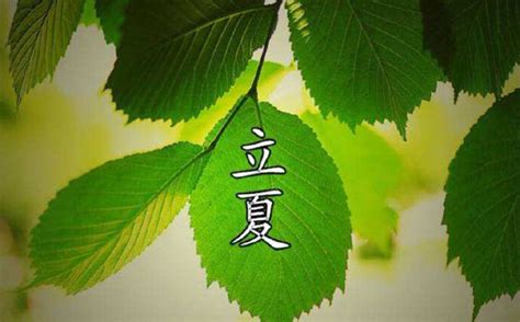 立夏文案短句干净治愈