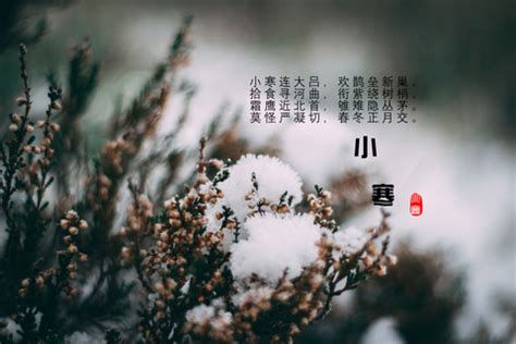 小雪诗句（共50条）