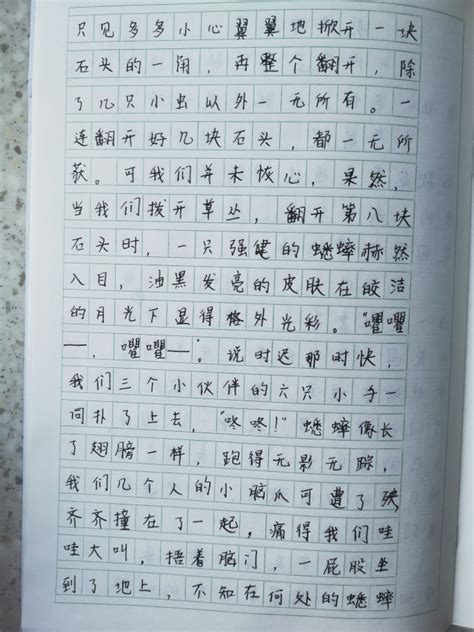 高密游记-小学生日记作文350字(共6篇)
