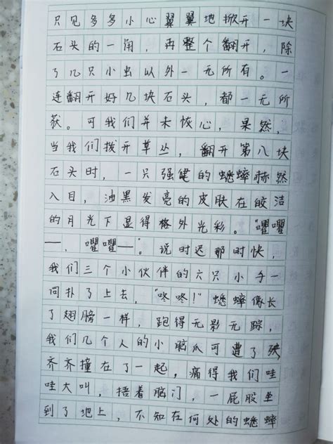 第一次写作文_第一次作文400字（通用4则）