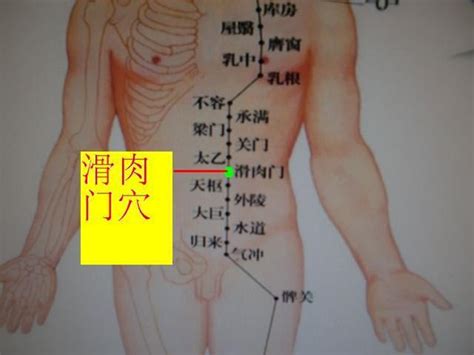 脐旁开三指是什么穴位