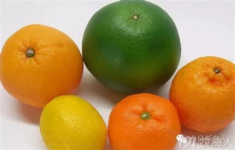 柚子和橘子杂交出的新品种