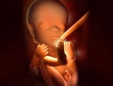 三十天胎儿是什么样子