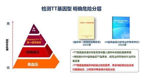 tt型基因吃多少叶酸