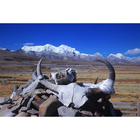 一个人的西藏（2）
