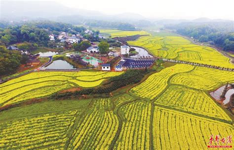 长沙火车站到岳麓区青山花卉大市场