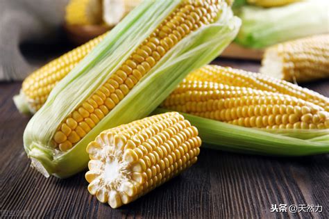 玉米一般要多久才熟