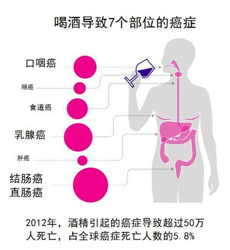 酒伤身体的精辟句子