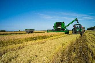 田地可以造什么句子