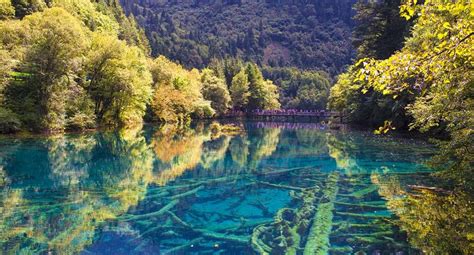 九寨沟在那里