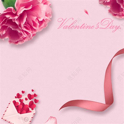 十二朵粉红的康乃馨_节日作文700字（推荐4篇）