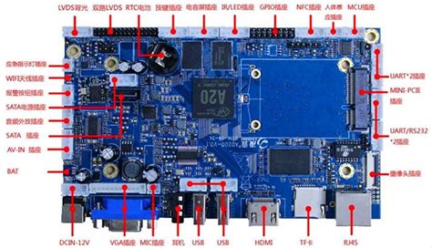 计算机上的F1 - F8键的基本作用是什么?