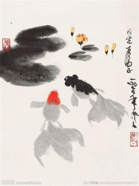 我家的金鱼-关于金鱼的作文350字（集锦4则）