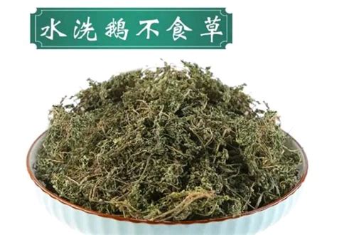 孩子流鼻涕咳嗽吃哪种中药