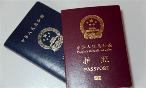 护照在哪里办