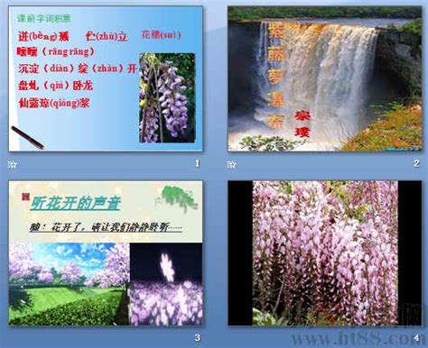 《紫藤萝瀑布》-小学生续写作文500字(合集4篇)