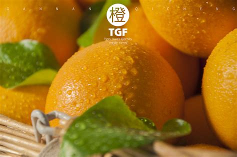 脐橙有哪些营养成分功效与作用,脐橙和橙子的区别是热