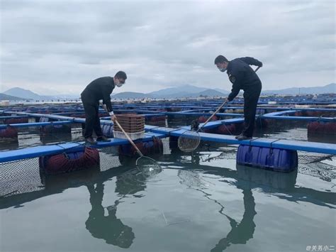 参观水产养殖基地-叙事作文200字【摘抄7则】