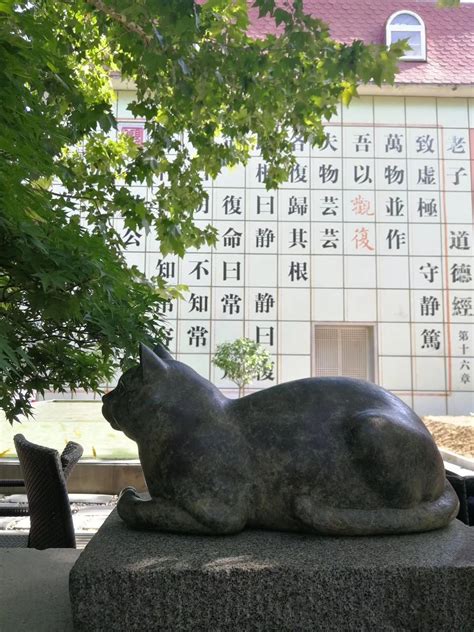 观首都博物馆有感_关于游博物馆作文400字【精选7篇】