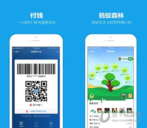 支付宝的账户授权管理