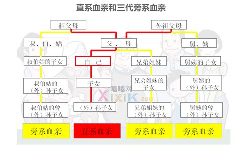 直系三代指哪三代