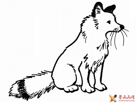 小狐狸找钢笔-六年级童话作文500字[共计5则]