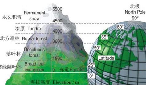 可以实地测海拔的手机地图有哪些、在哪里下载