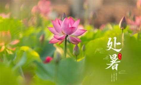 今天惊蛰朋友圈说说