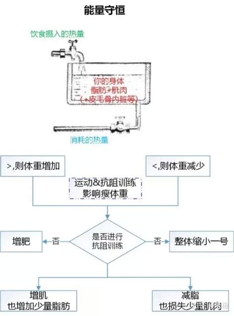 孕期体重上升太快怎么办?