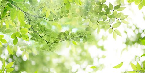 春天风景语录唯美短句