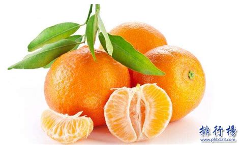 葡萄柚的果核能种吗