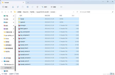 vsp格式是什么文件?
