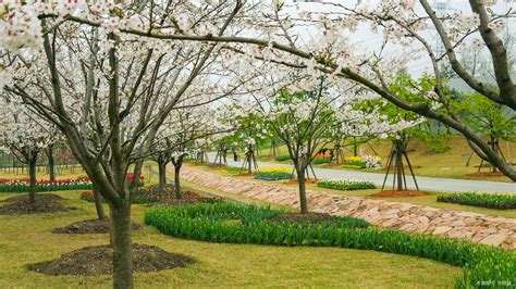 花卉园地铁站到大山村地铁站怎么走