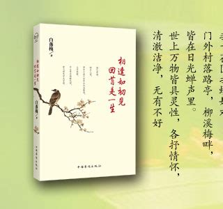 白落梅经典语录