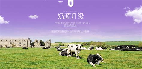 圣元营养食品有限公司